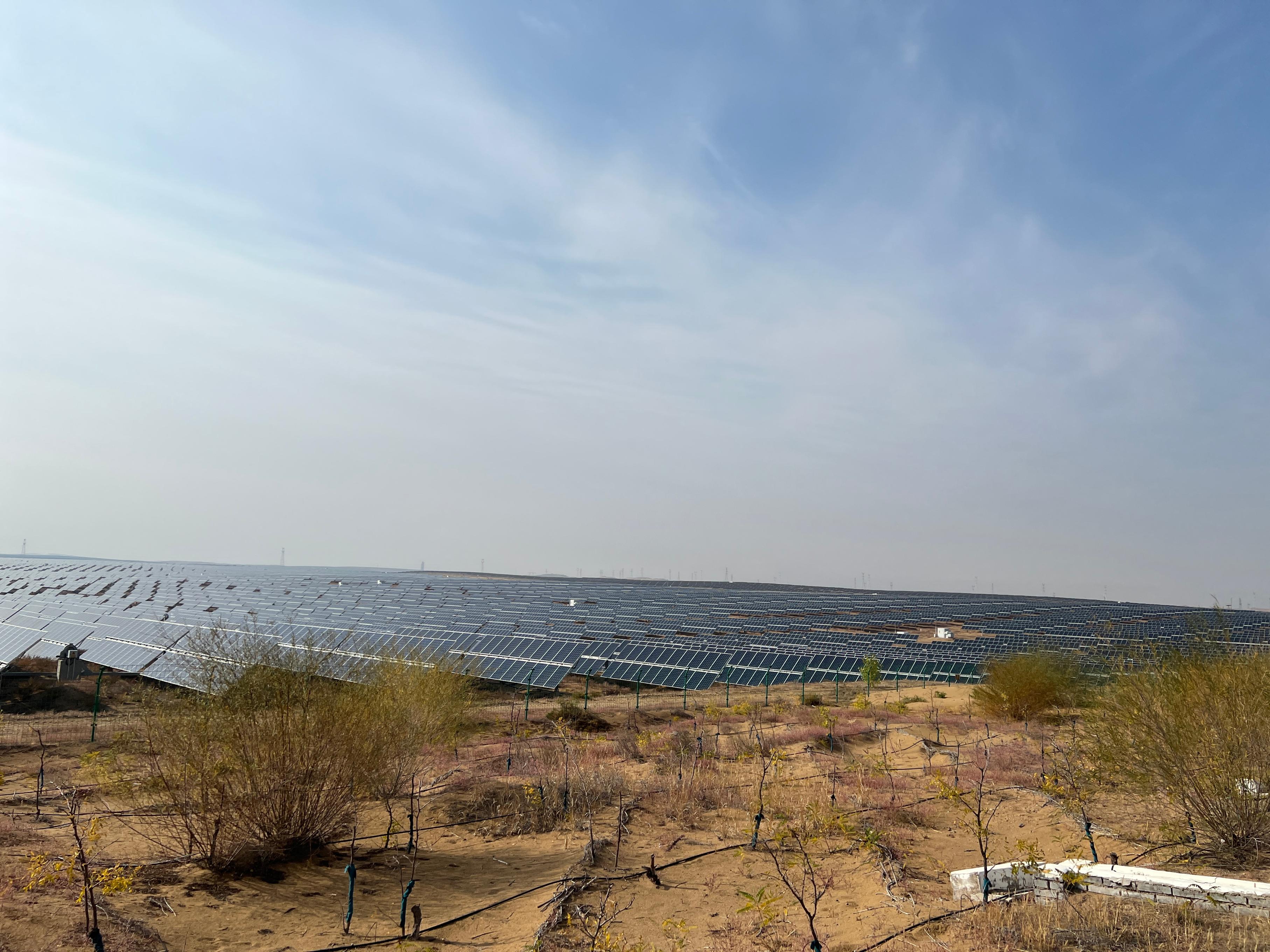 库布其沙漠的腹地,一望无际的光伏板。 欧阳易佳摄